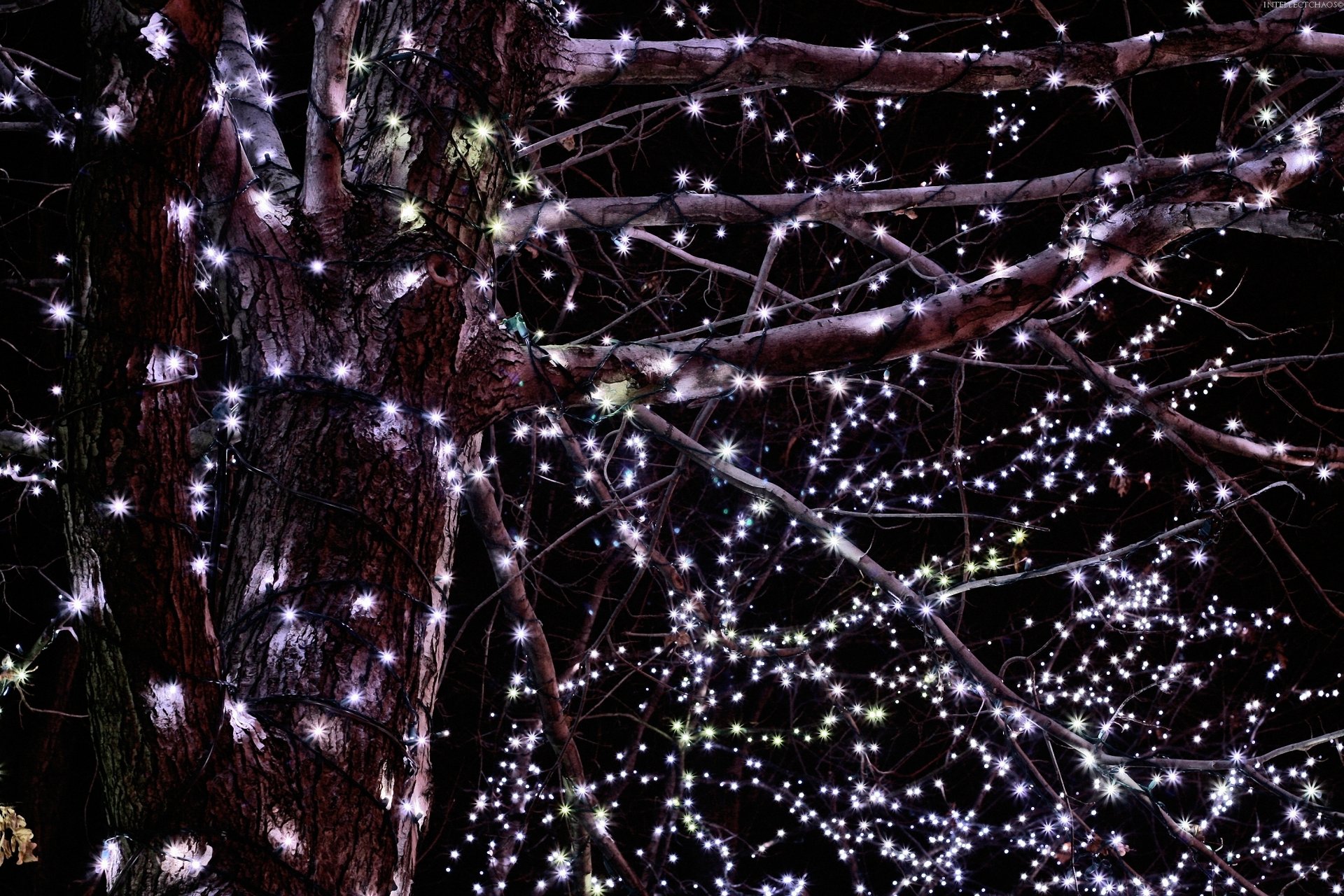 girlanden lichter baum zweige abend nacht straße urlaub neujahr weihnachten