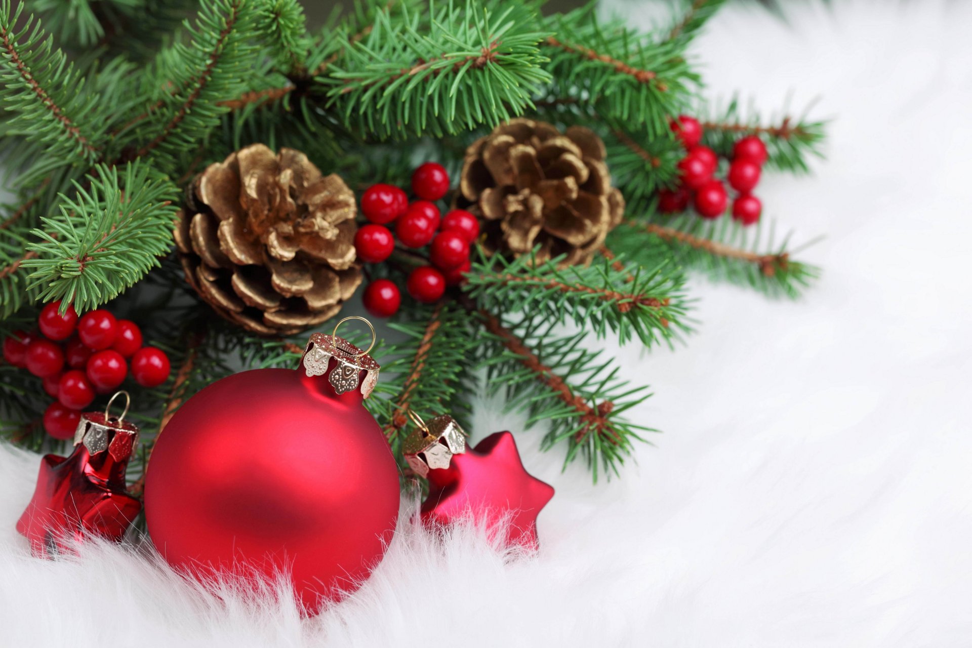 nouvel an noël vacances boule rouge étoiles jouets de noël cônes branche arbre de noël baies