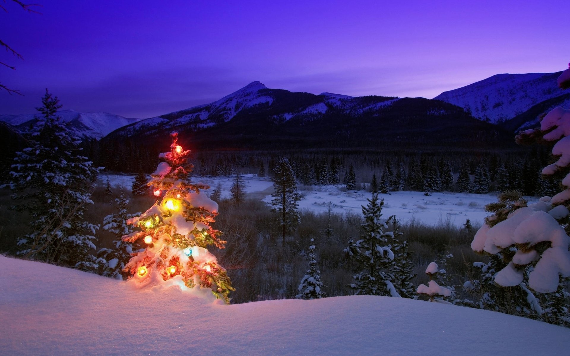 neujahr winter natur weihnachtsbaum spielzeug berge bäume schnee abend dämmerung