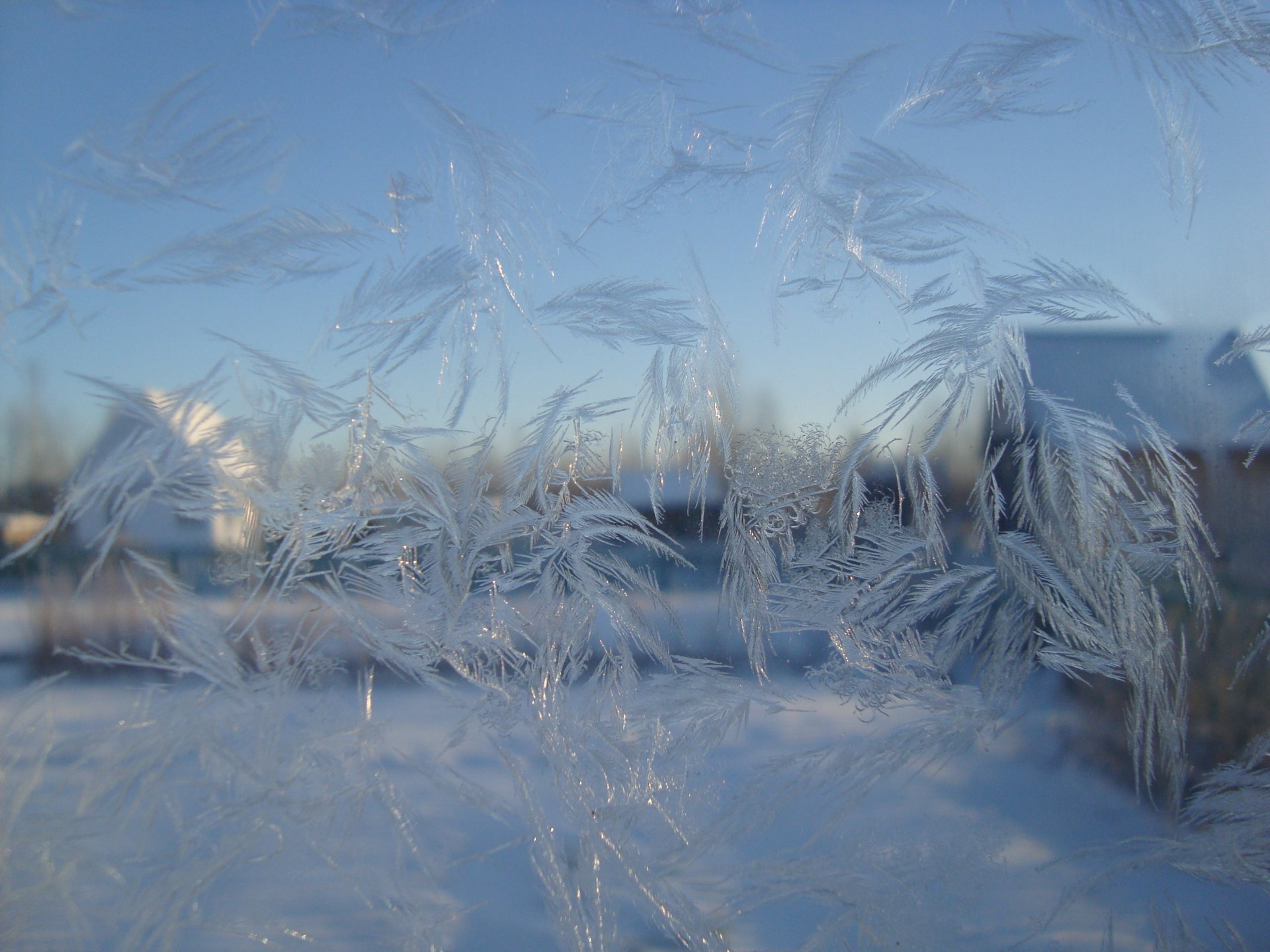 escarcha patrón vidrio hielo