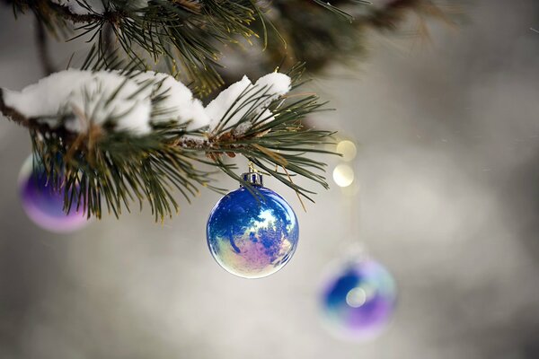 Blue shiny Christmas tree balls on a branch