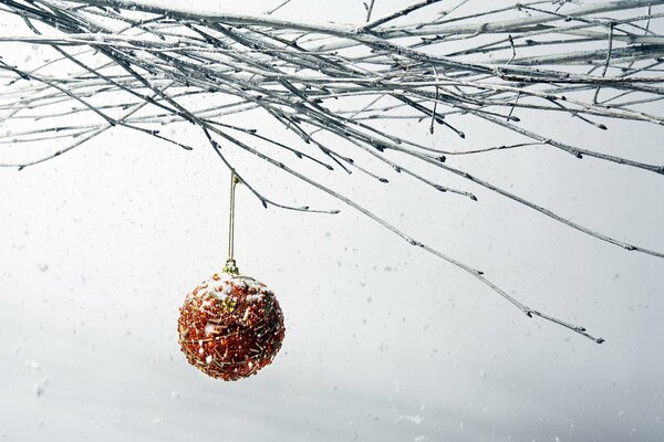 Christbaumkugel auf nacktem Ast