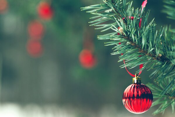 Jouet de Noël rouge sur une branche