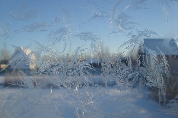 Mañana helada. Patrones de hielo en el vidrio