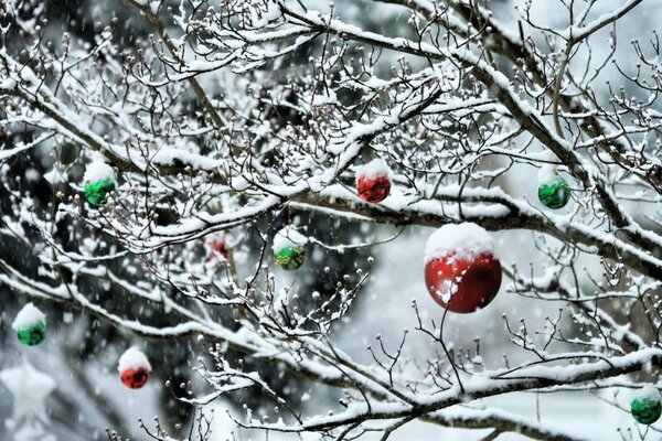 Forêt d hiver dans le nouvel an sur les arbres jouets