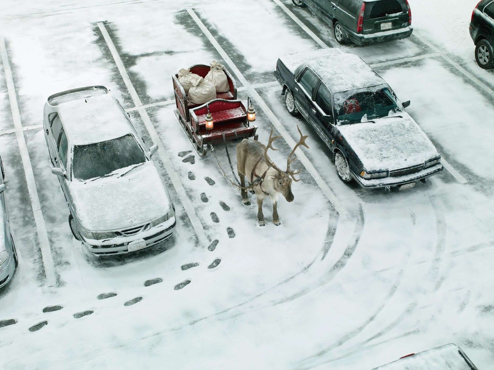 strada parcheggio auto slitta cervi borse regali tracce