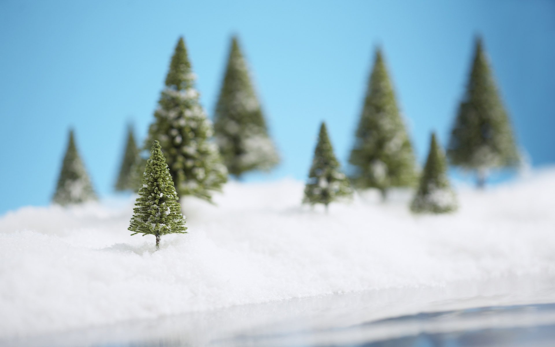 weihnachtsbäume schnee neujahr