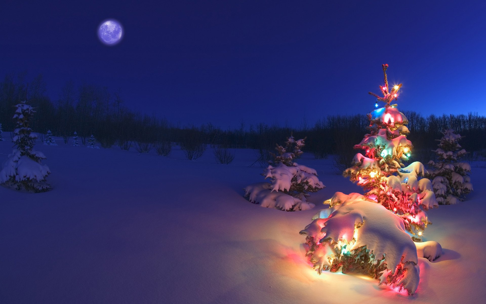 albero di natale neve ghirlanda