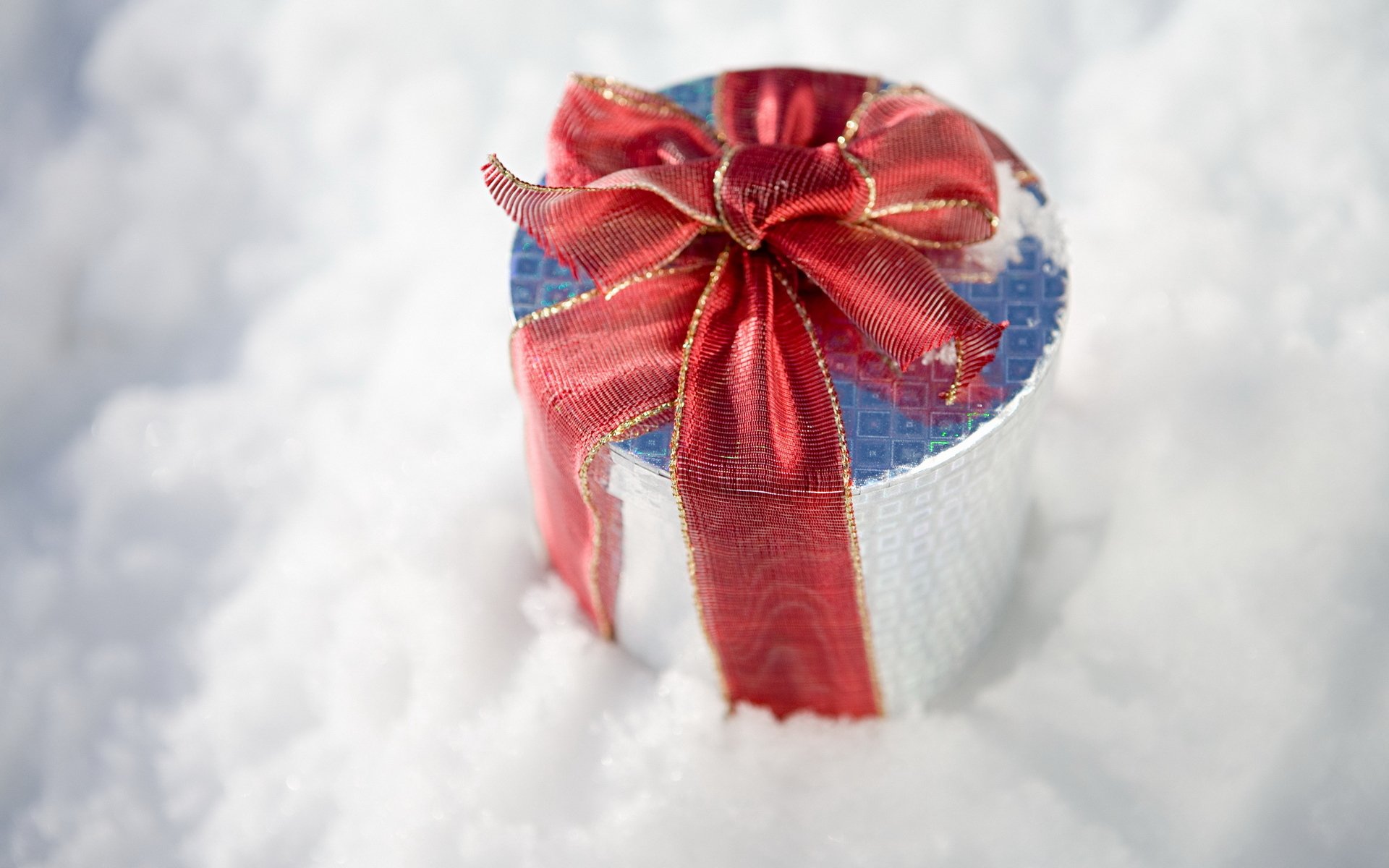 holiday new year winter snow gift box ribbon winter