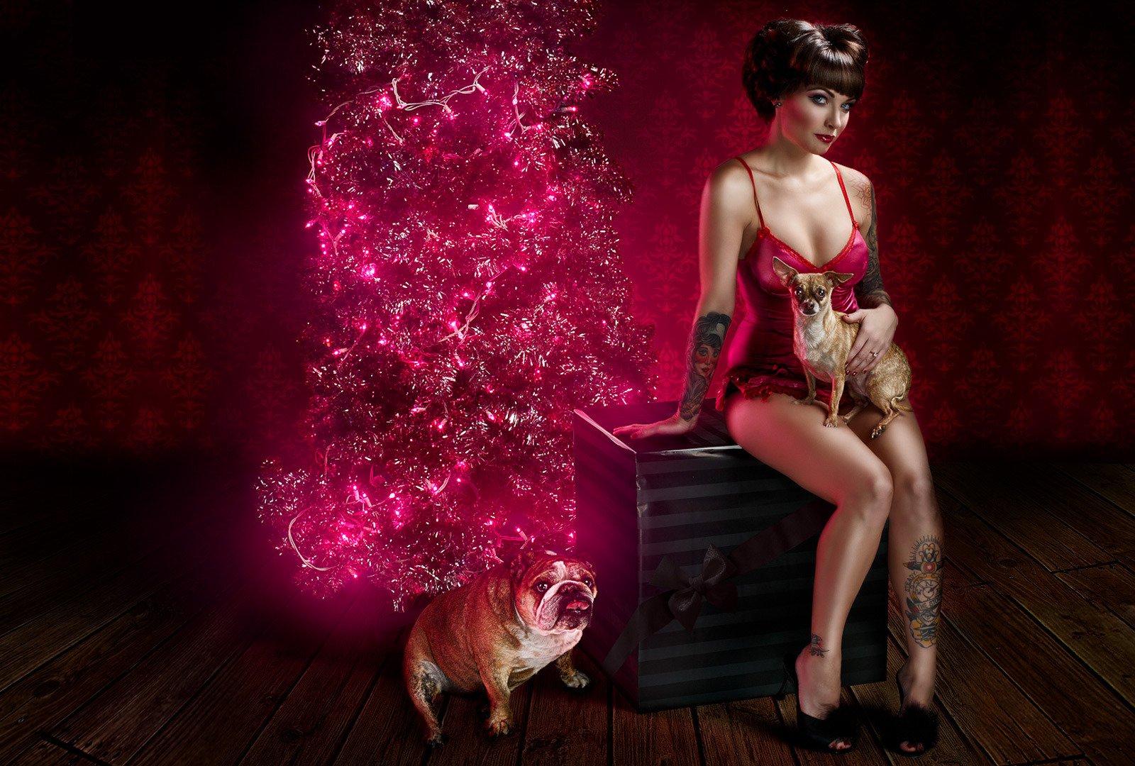 nouvel an noël cadeau fille chiens boîte sapin guirlande vacances tatouage bouledogue lingerie