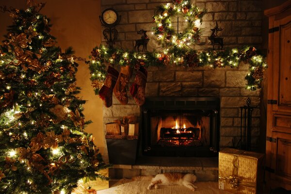 Christmas tree next to a burning fireplace