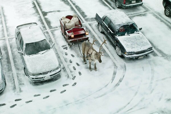 Coches y calles cubiertas de nieve