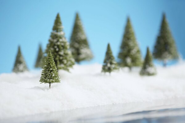 Kleine Weihnachtsbäume im Schnee