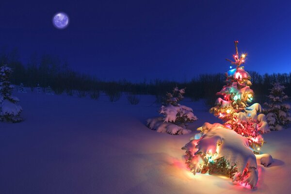 Sapin de Noël avec ampoule et le soir