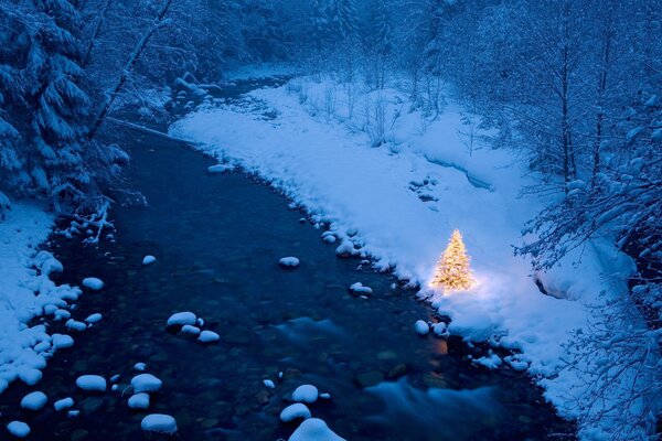 Bosque de invierno y río. Árbol de Navidad con guirnaldas