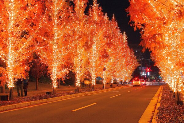 La iluminación roja de los árboles a lo largo de la carretera