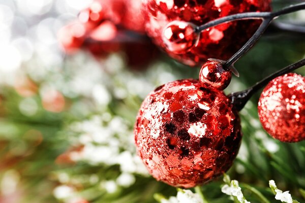 Bolas brillantes rojas en el árbol de Navidad