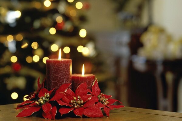 New Year candles on the background of a Christmas tree