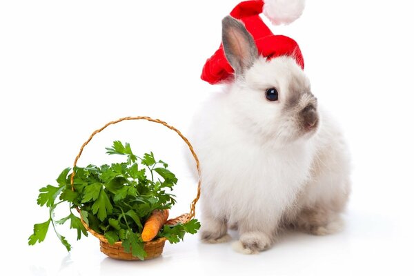 Lapin de Noël avec panier de carottes