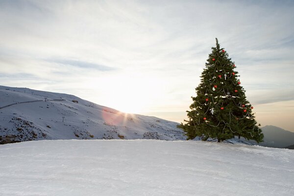 Winter mountains and decorated Christmas tree