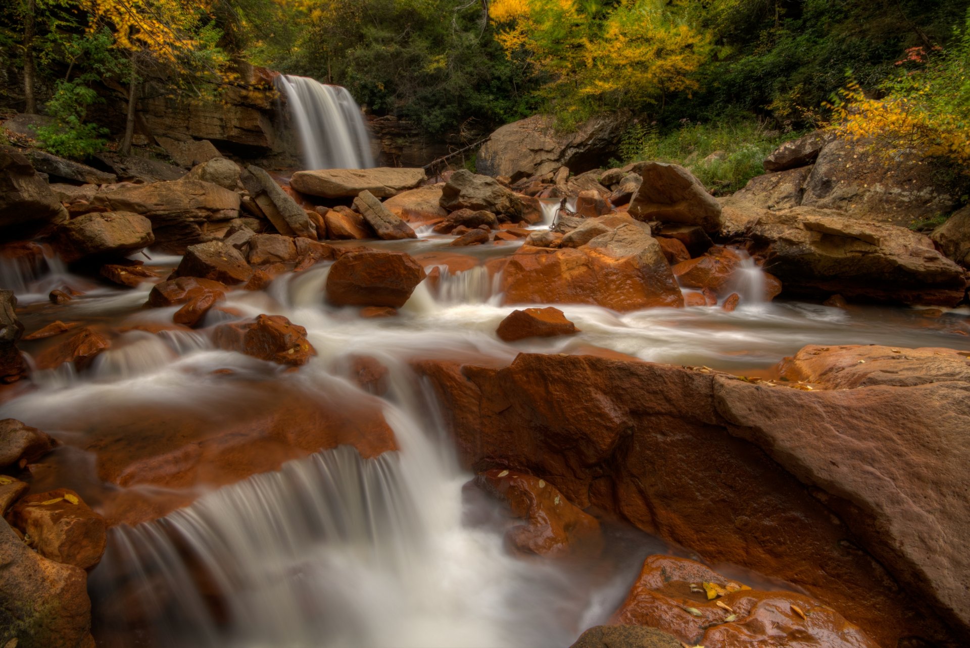 douglas falls blackwater river west virginia douglas falls blackwater river west virginia wasserfall fluss steine herbst