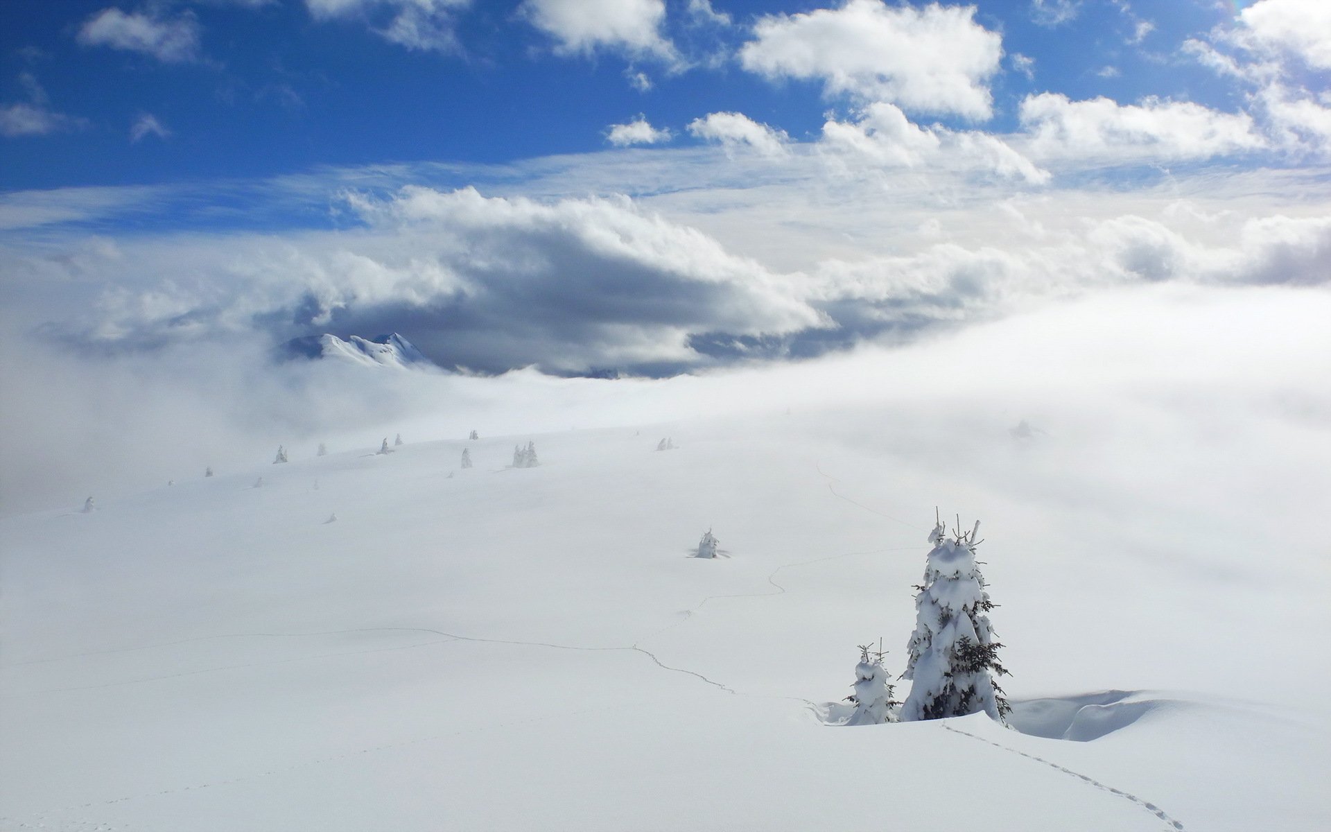 hiver neige paysage