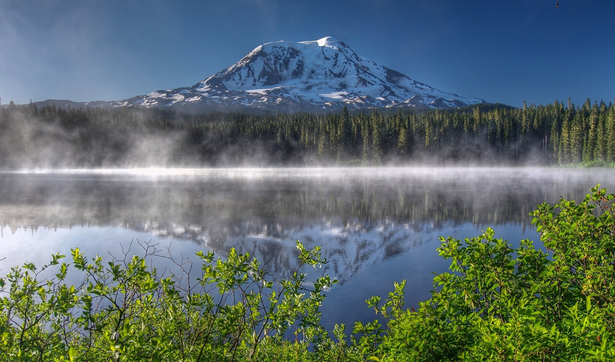 monte adams takhlakh lago cascade range washington monte adams cascade mountain lago montagna vulcano foresta cespugli riflessione mattina