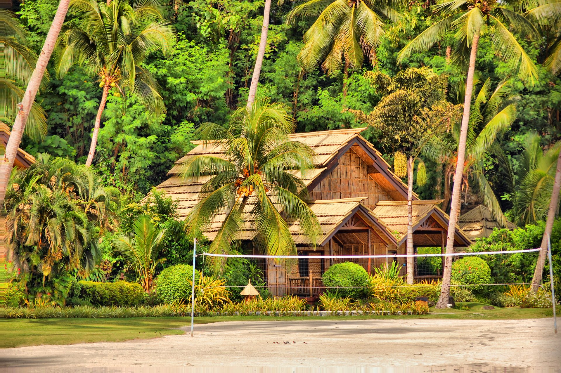 samal filipiny wyspa palmy dom chata bungalow