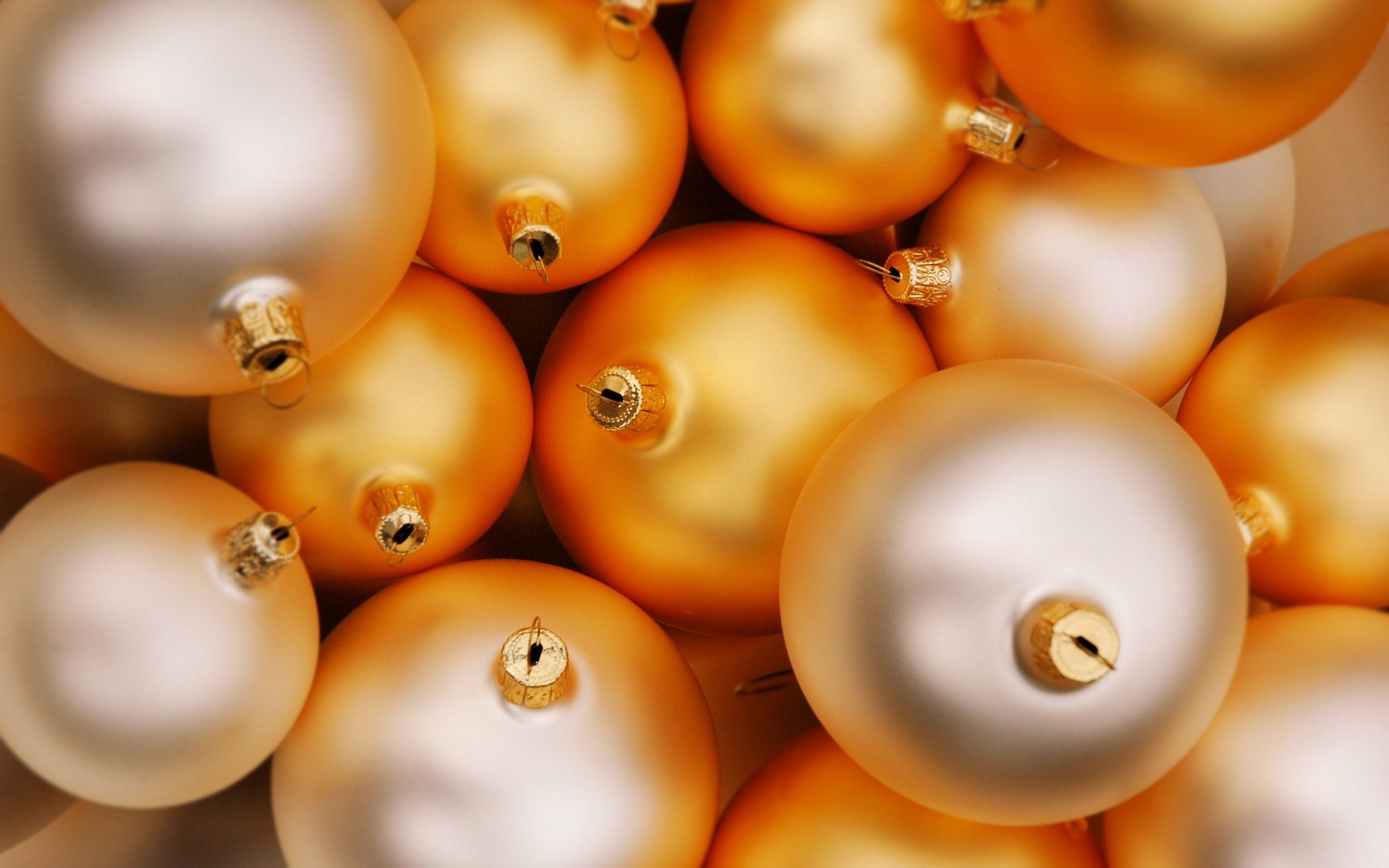 bulbs holiday new year golden