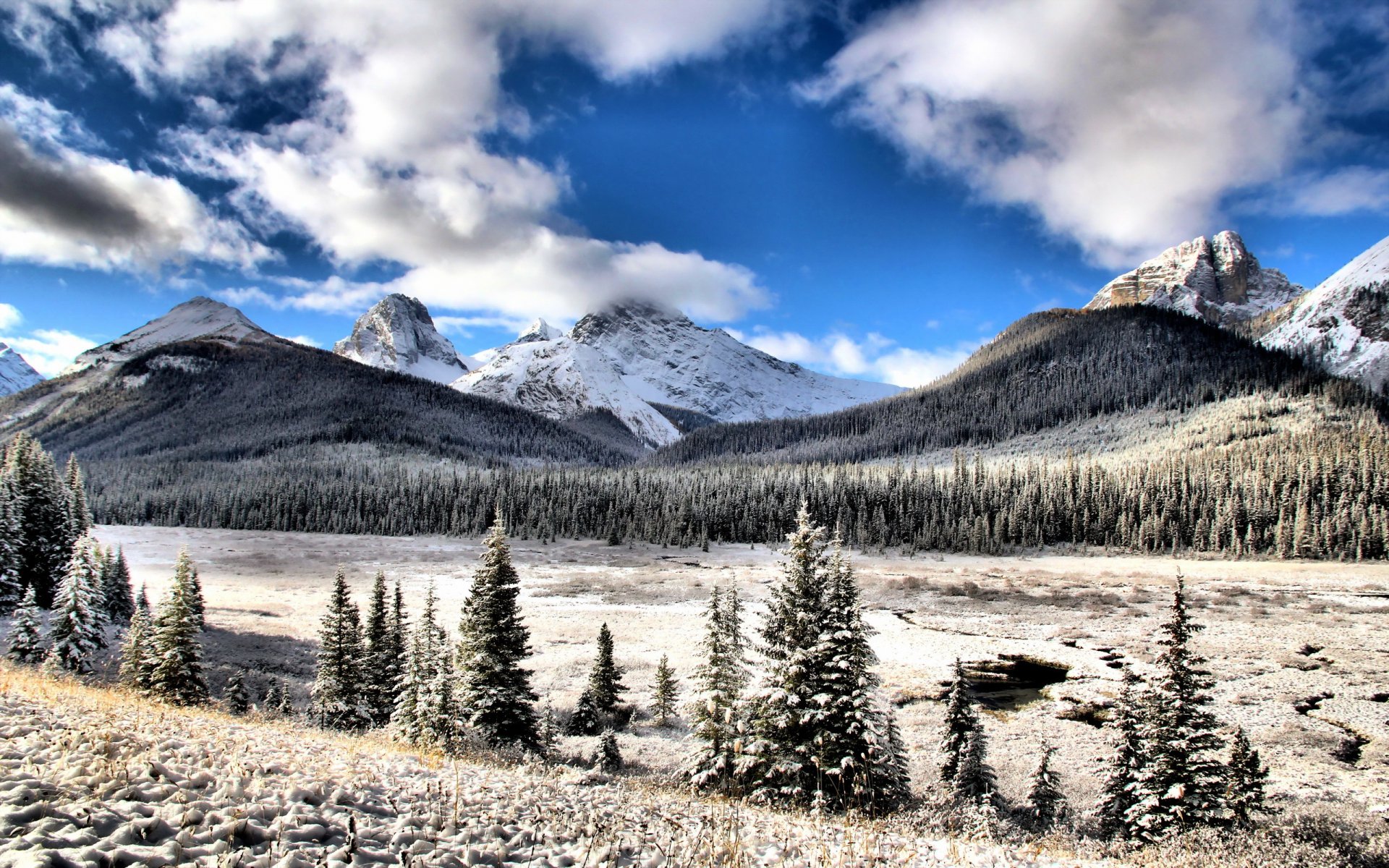 kananaskis alberta mountain snow landscape