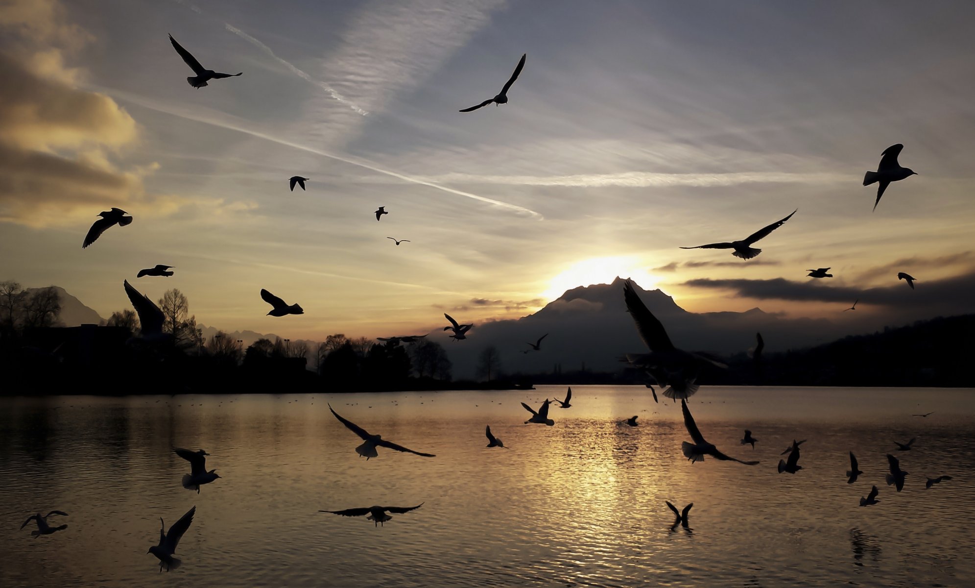 berge see vögel möwen sonnenuntergang silhouetten