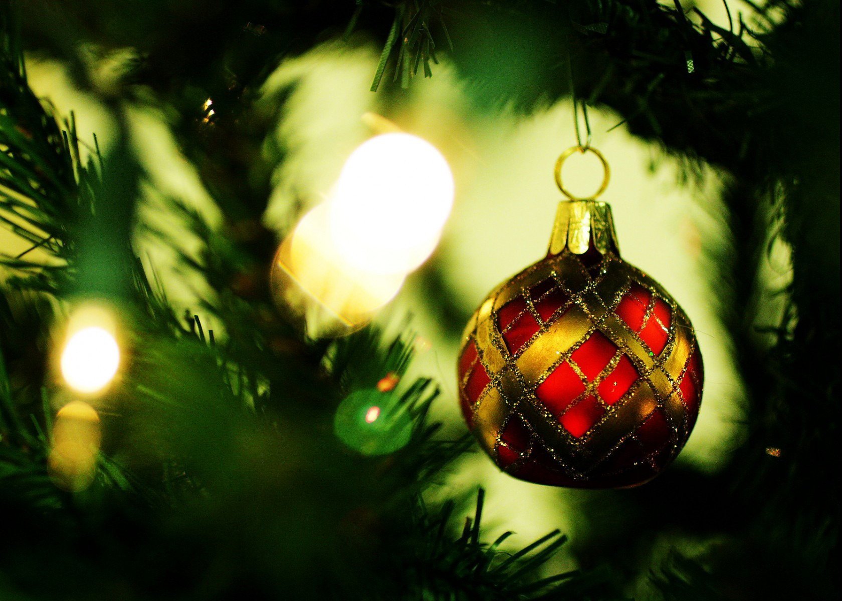 vacaciones árbol de navidad agujas juguete estado de ánimo año nuevo foto imagen fondo papel pintado