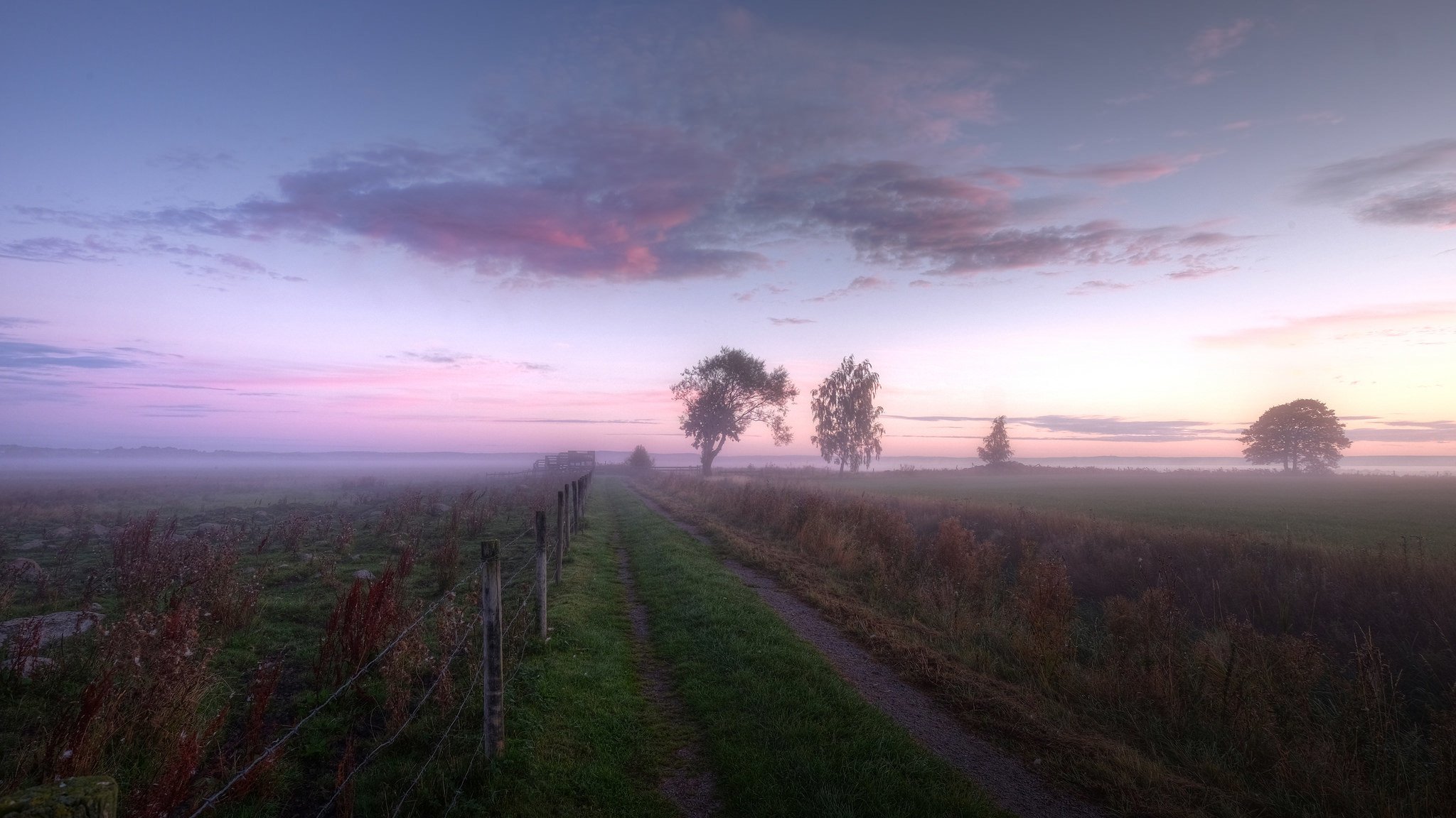 matin champ clôture