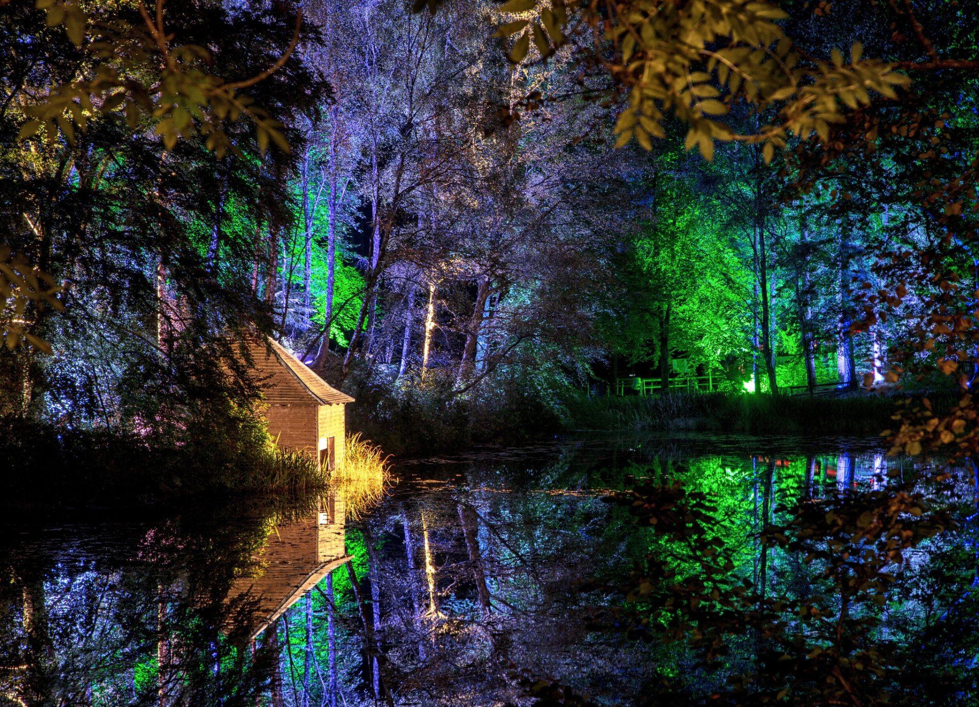 noc park domek światła drzewa