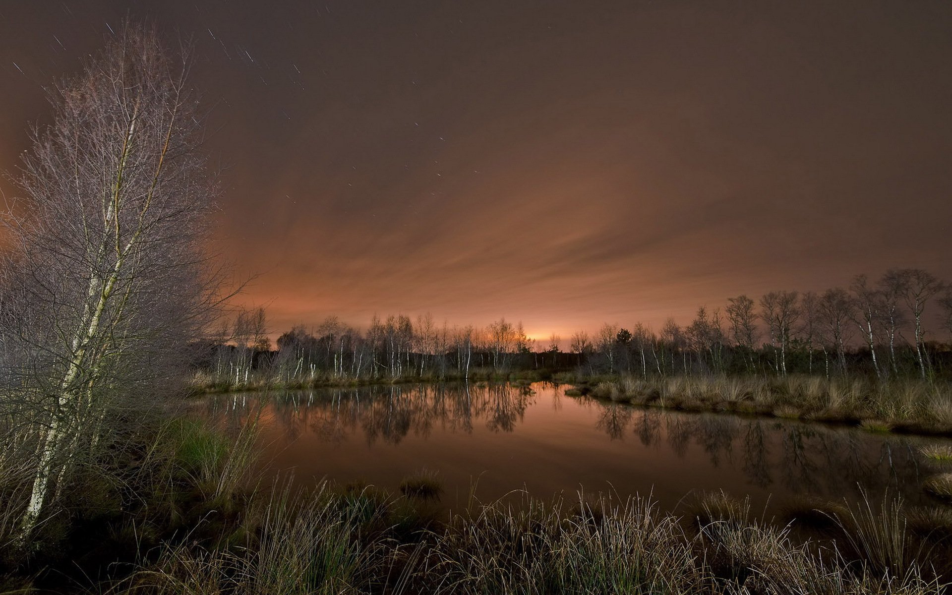 lago notte paesaggio