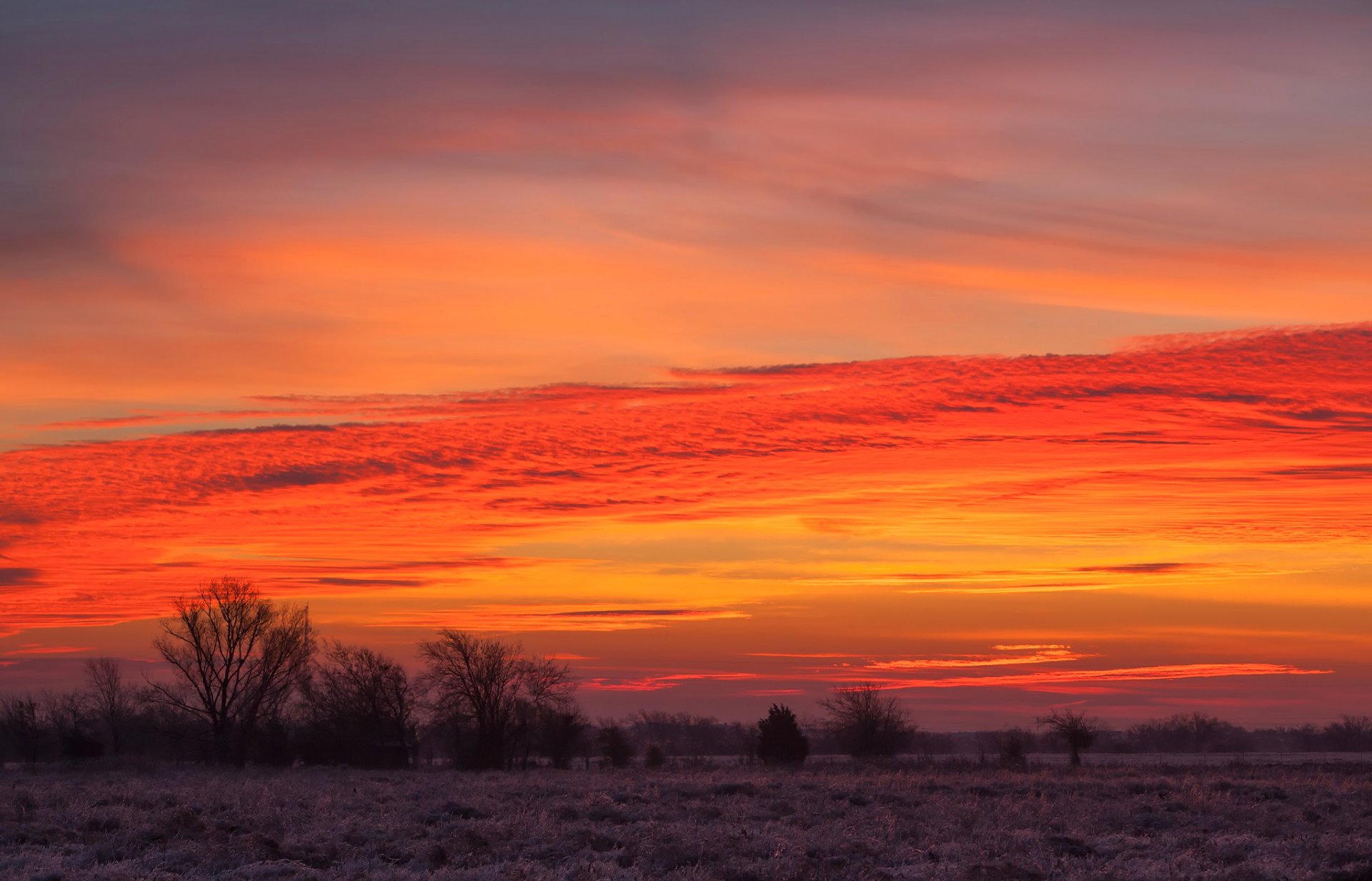 ciel nuages coucher de soleil champ arbres