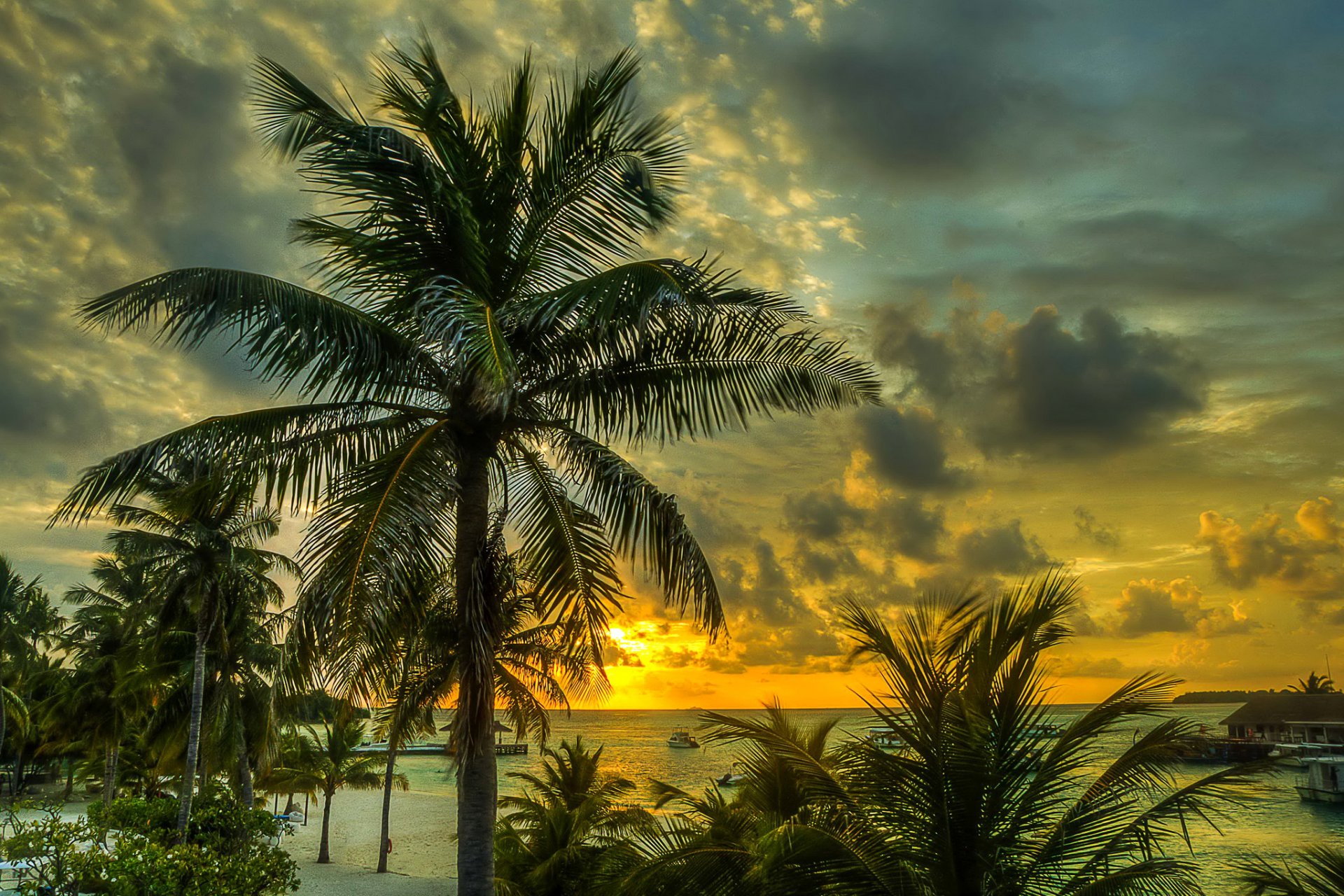 maldive tropici mare costa spiaggia sabbia palme cielo nuvole tramonto