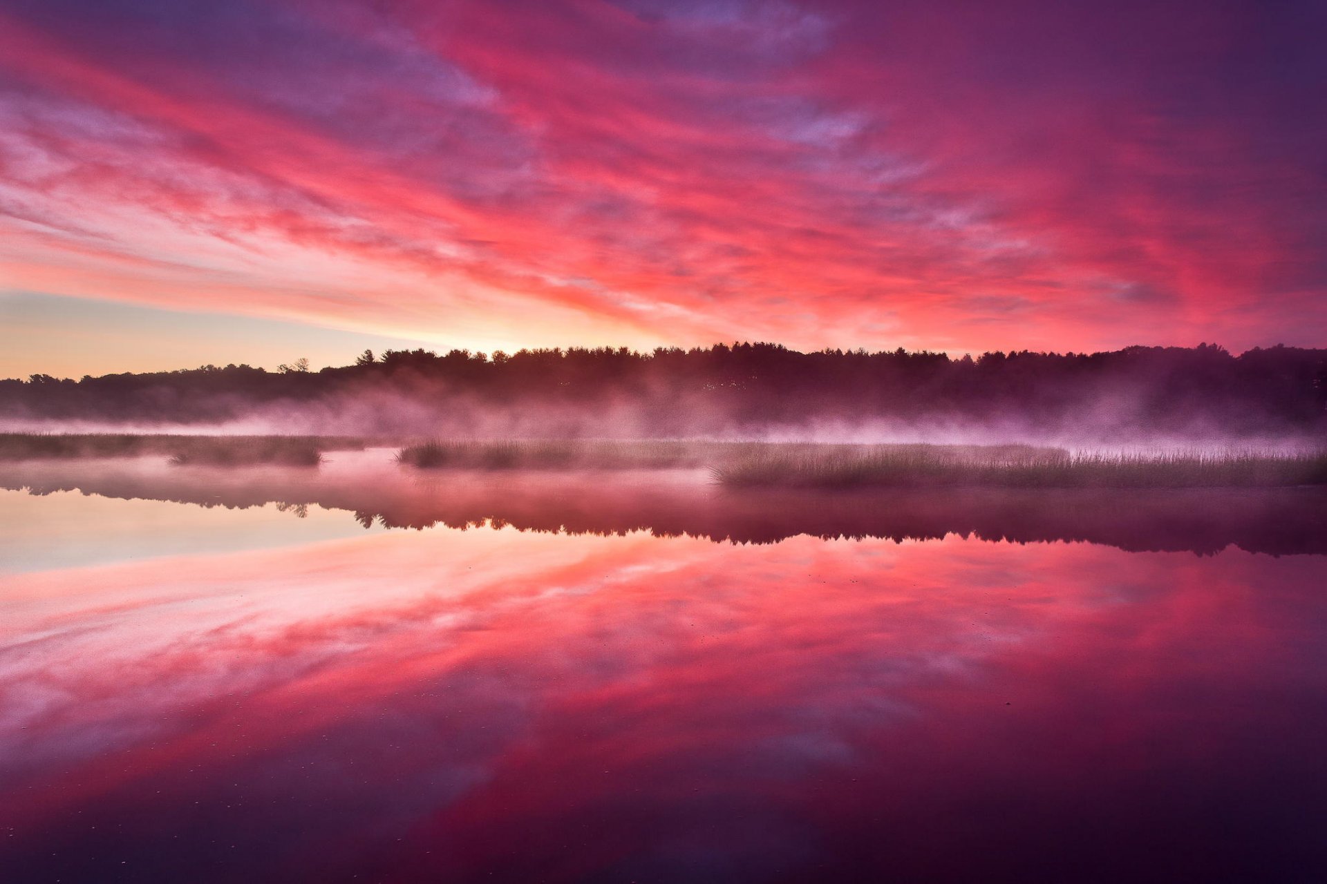 bosque amanecer lago neblina árboles