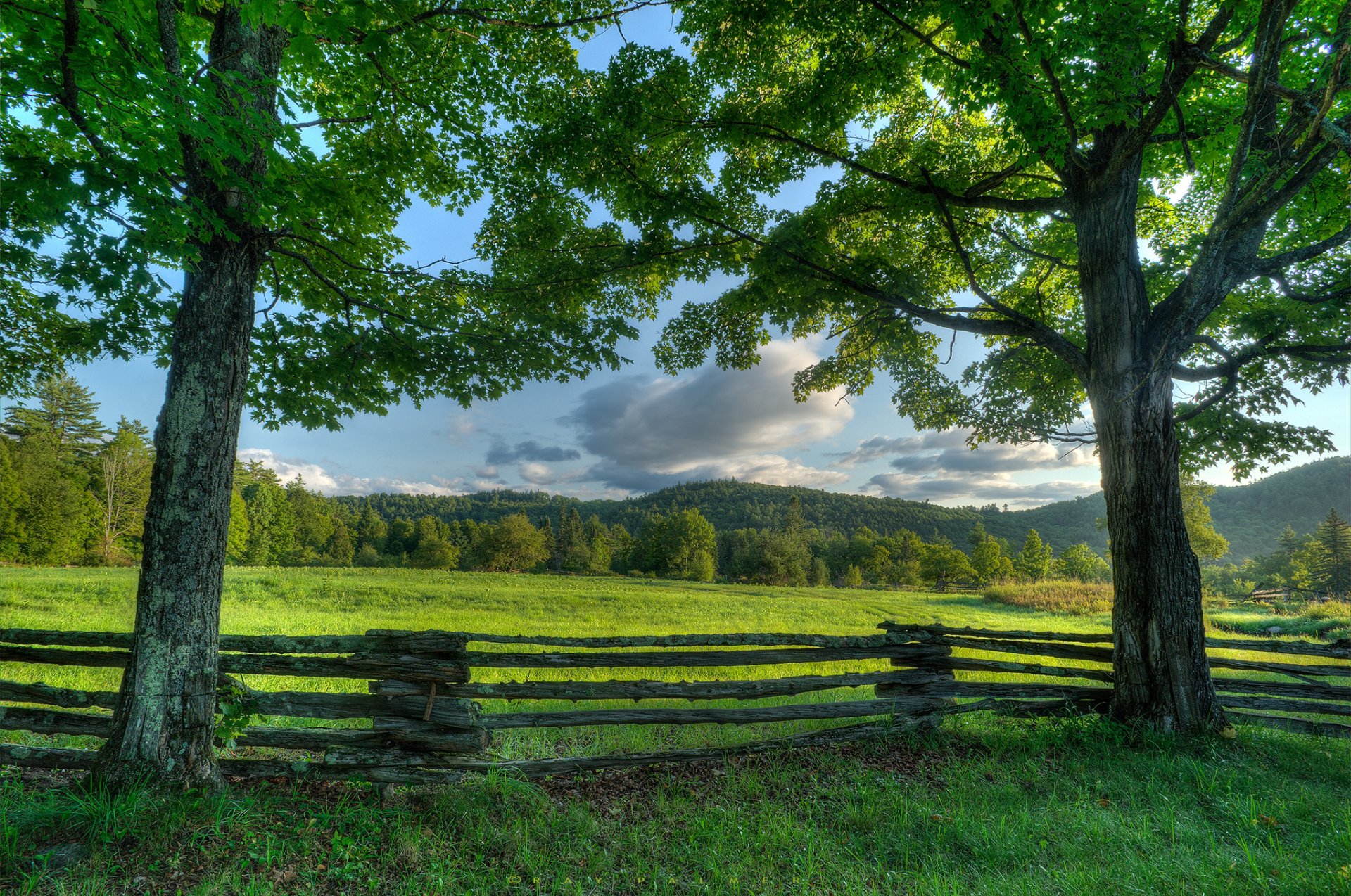 adirondack new york new york state ny meadow tree fence