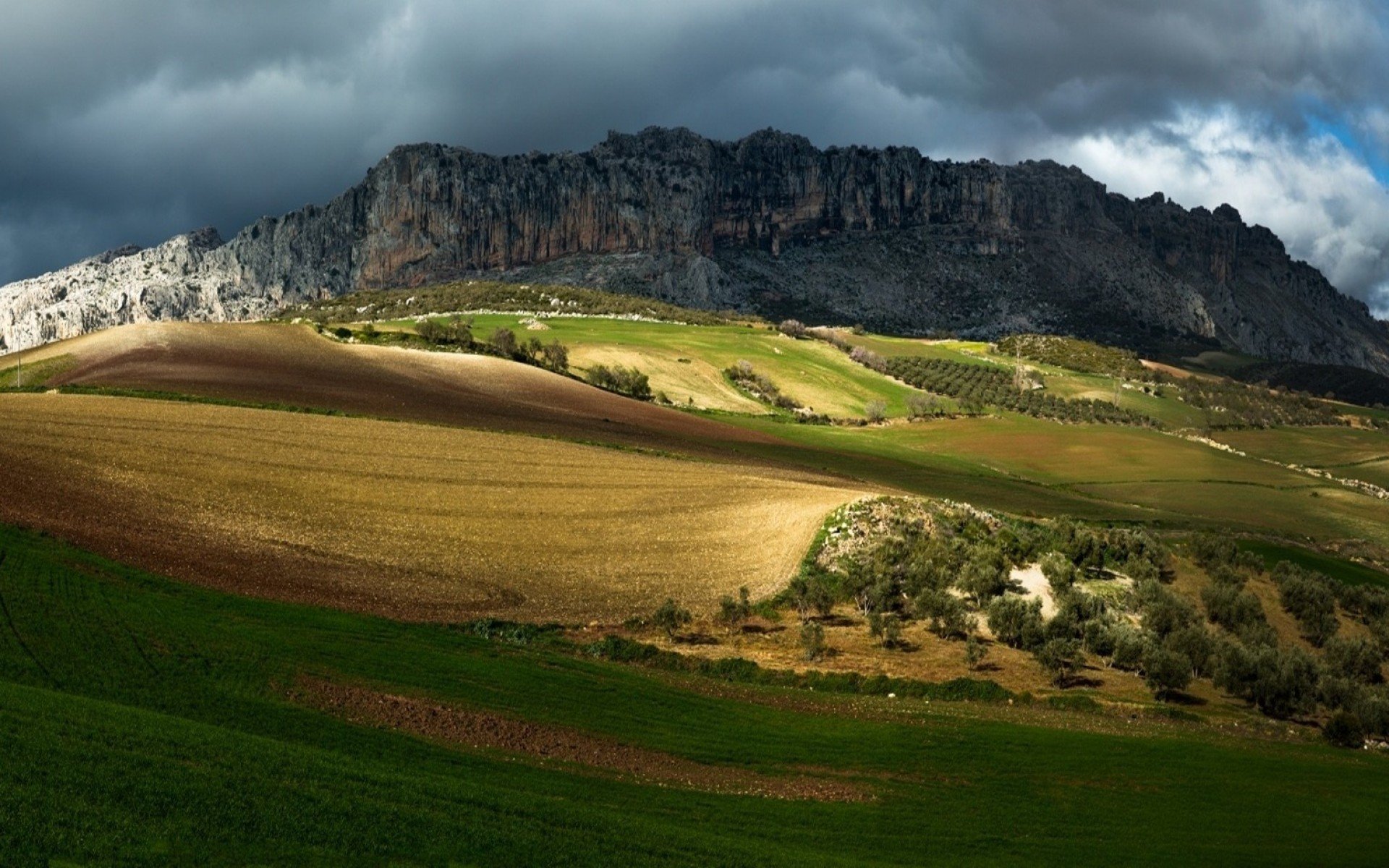 bäume feld tal himmel felsen berge natur foto