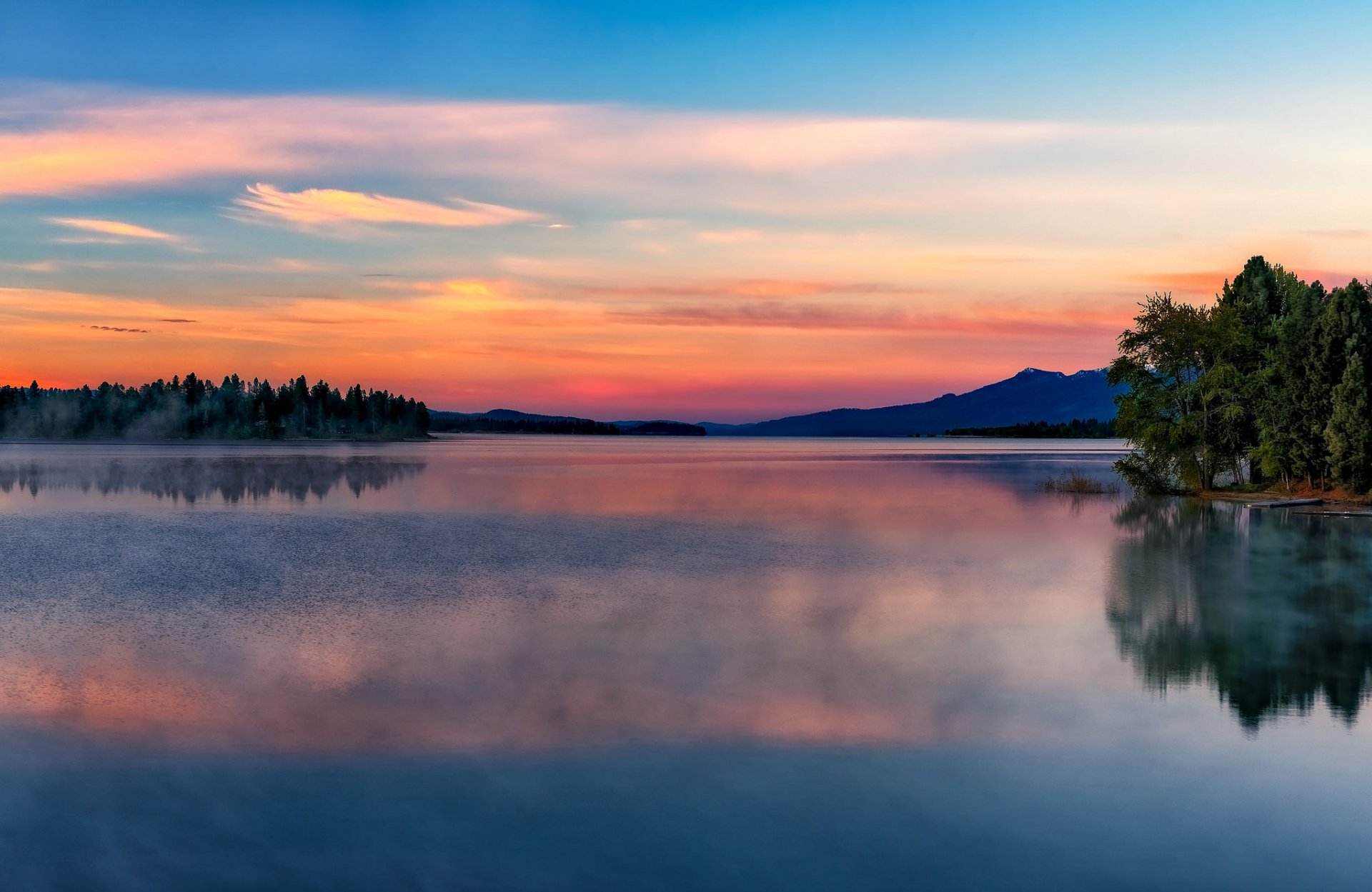 tree lake reflection morning dawn summer