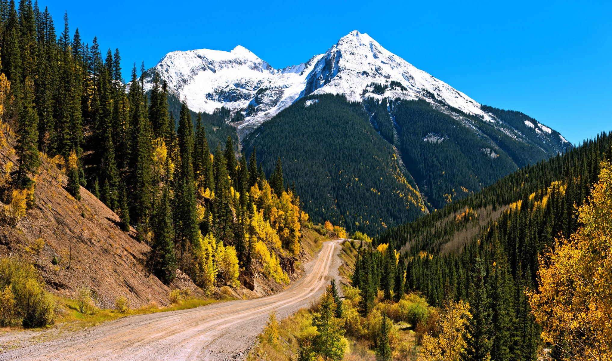 ky mountain snow slope forest autumn