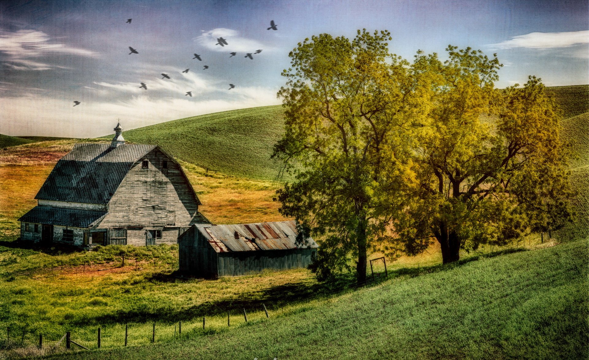 feld haus landschaft