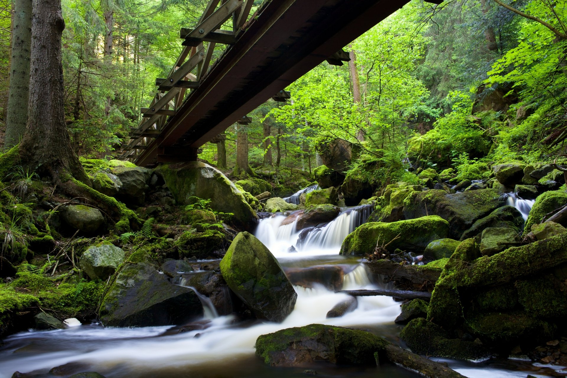 ravennaschlucht forêt noire baden-württemberg allemagne forêt-noire bade-wurtemberg forêt pont rivière cascade pierres