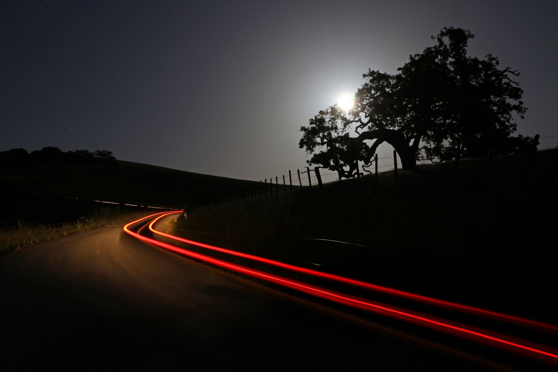 cielo luna noche árboles carretera luces