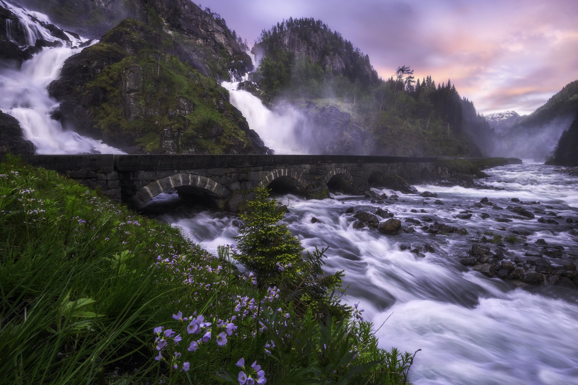 lotefoss odda norvège cascade cascade rivière pont roches montagnes pierres fleurs