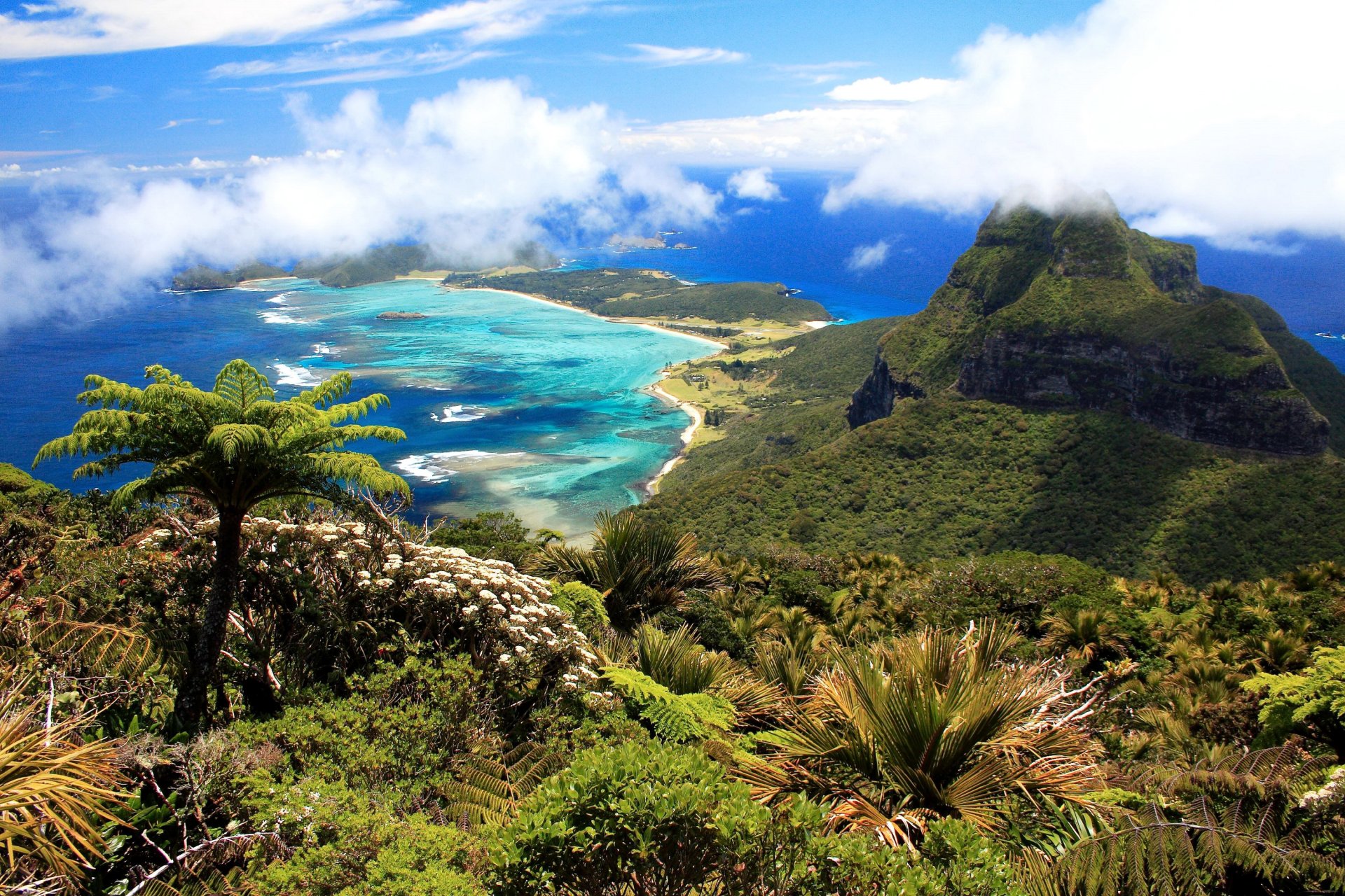 australie île de lord howe île océan côte montagnes nuages palmiers panorama