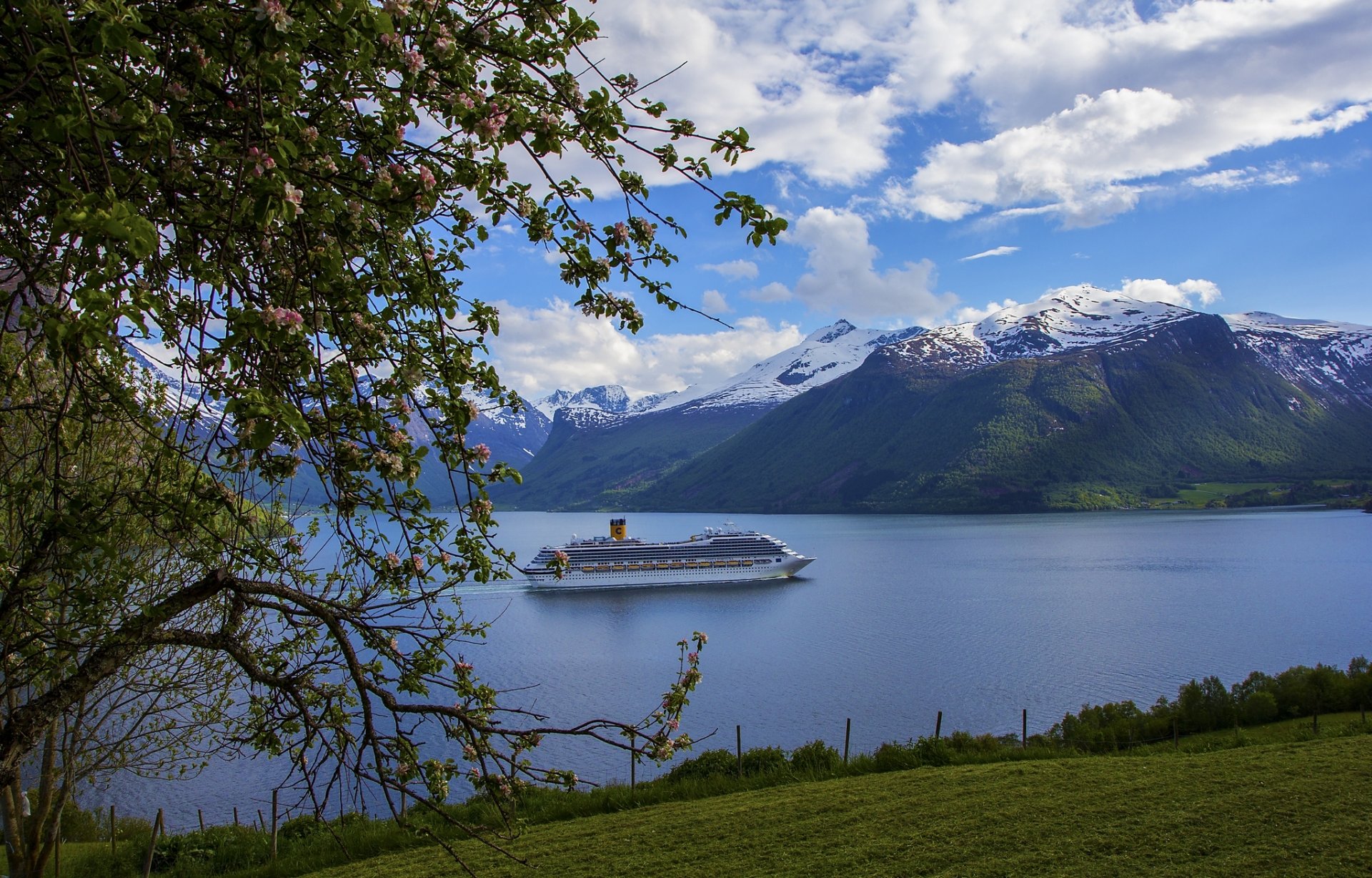 szwecja costa fortuna liner fiord góry drzewo