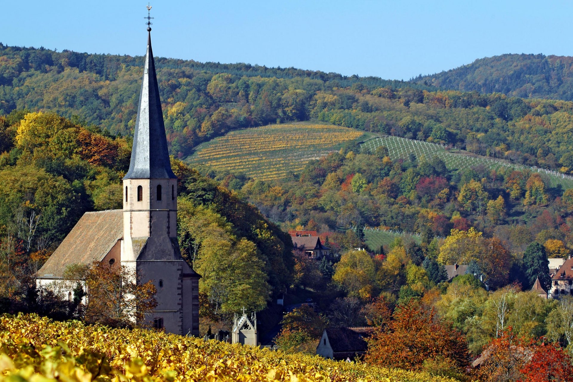 église automne collines champs arbres ciel forêt horizon feuilles