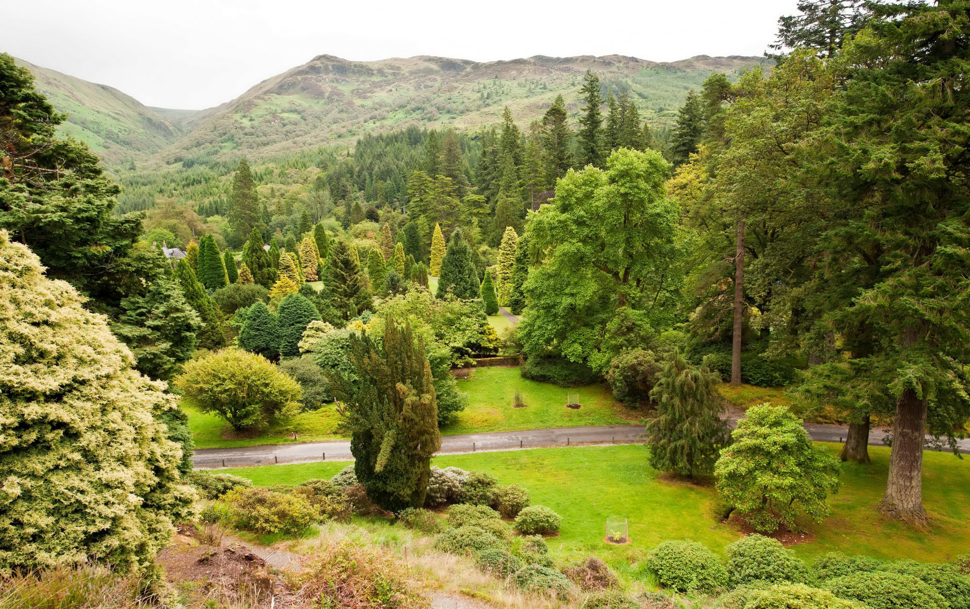 schottland gärten junior benmore botanischer garten argyle berge bäume büsche grüns